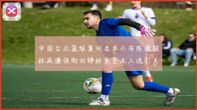 中国台北篮球集训名单公布陈盈骏林庭谦领衔刘铮林秉圣未入选引关注