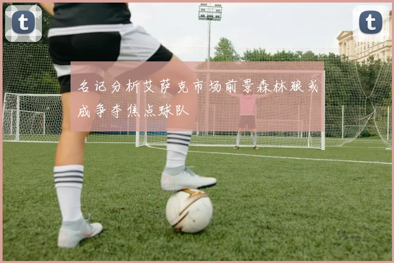名记分析艾萨克市场前景森林狼或成争夺焦点球队